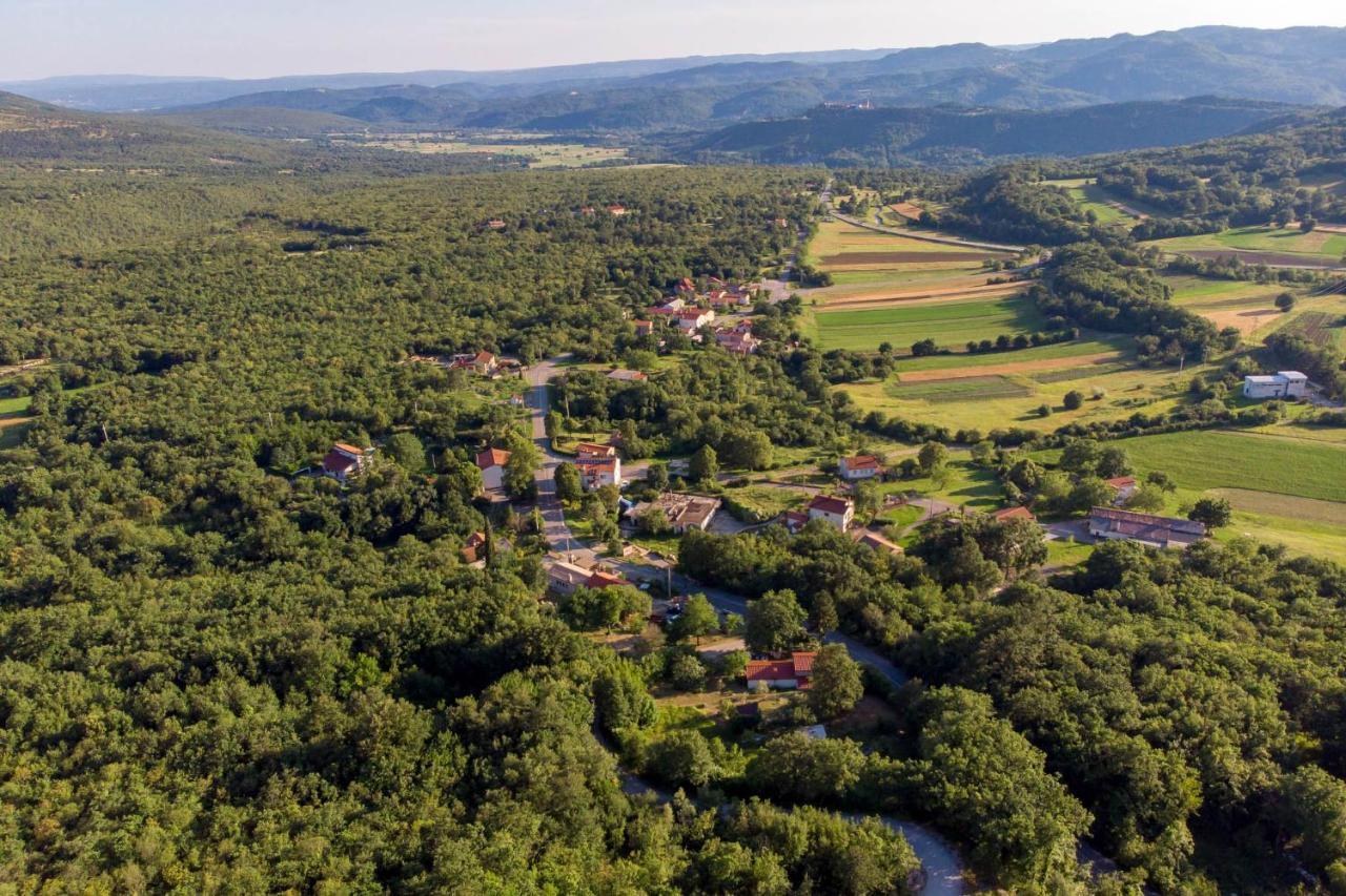 Villa Aurania Vranje エクステリア 写真
